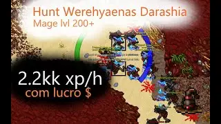 Werehyaenas Darashia - Hunt SOLO MS / ED / RP (level 200+) 2.2kk xp/h com lucro - MANGA JOGA (Tibia)
