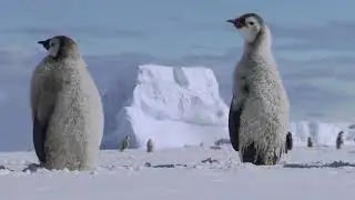 Ross Sea region Marine Protected Area