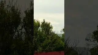 Real rain sounds #asmr #rainoundforsleep #shorts #whitenoise