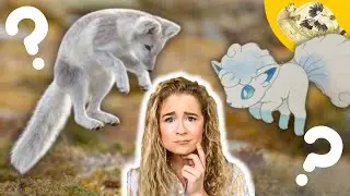Why The Face of Vulpix Is Key?  Real Pokemon Biology Explained!