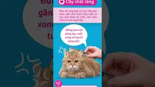 Hướng dẫn M&egrave;o c&aacute;ch sử dụng bố mẹ (p2)