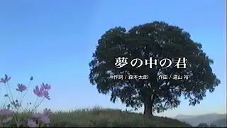 夢の中の君