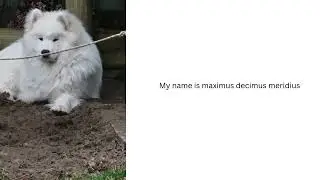 Doggo Meme