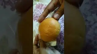 Enhanced Nutribun #enhanced  #nutribun #bread #short