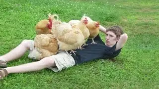 clean memes that are actually funny