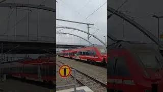 Dessau Hbf Einfahrt RE 7 von Senftenberg #zug #trainspotting #train