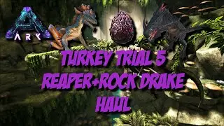 Ark Survival Evolved - Turkey Trial 5 Rock Drake + Reaper Haul Official Xbox PvE Servers