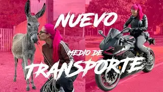 Mi nuevo medio de transporte 💰