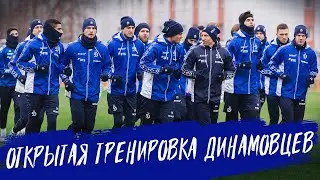 Открытая тренировка динамовцев 
