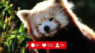 hello. Hi welcome to my InstaTube