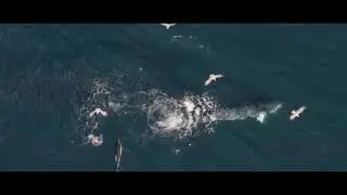Film IWF 2020