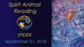 Spirit Animal reading 9-21-18 Spider spirit animal meaning