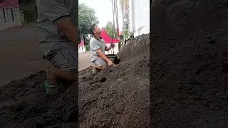 AJARAN KULI PASIR