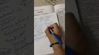 Types of maintenance and coupling and cohesion 