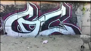 LOS ANGELES GRAFFITI WITH ANEK 2021