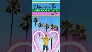 Welcome to the Urban Acupuncture Villa: Find your Acupuncturist Connection