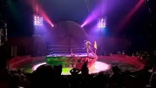 Circus Trampoline Wrestling - Courtney's Daredevil Circus 2019