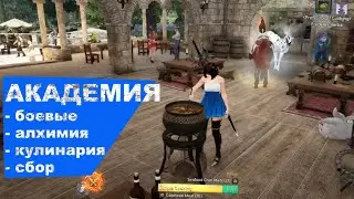 Дракания и Академия Оливии | Black Desert eu