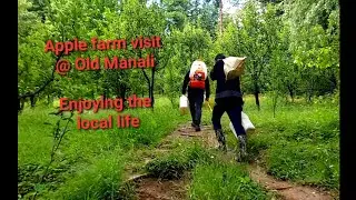Ep#14 Visit To The Apple Farm : Local Life @ Old Manali #himachal #oldmanali #applefarm #tour #local