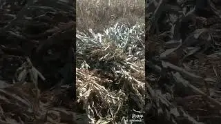 fly cutter machine
