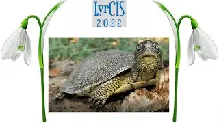 Deworming protocol for invasive turtle trematodes