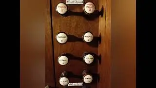Organi del Reggiano: Reggiolo 