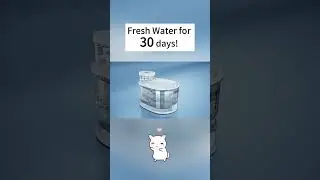 Petliking Selected - Magic Features of Petliking Fountain Water!