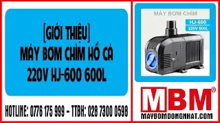 M&aacute;y bơm ch&igrave;m hồ c&aacute; h&ograve;n non bộ 220V HJ600 - MAYBOMDONGNHAT.COM