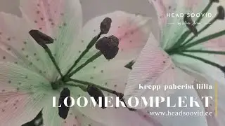 Liilia loomekomplekt