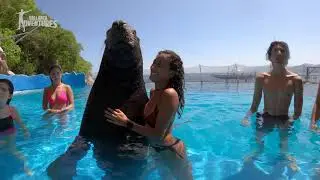 Teen Adventure Cove | Las Caletas