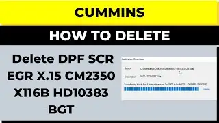 Delete DPF SCR EGR X.15 CM2350 X116B HD10383 BGT