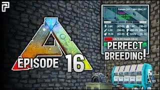 Let's get a PERFECT STATS breeding pair! | Let's Play ARK Survival Evolved [The Island - Ep.16]