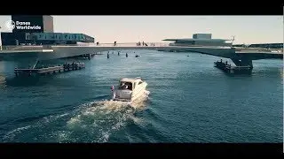 Danes Worldwide: The Association for International Danes