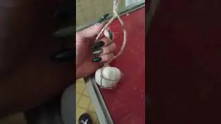Good Morning! Garlic protection!