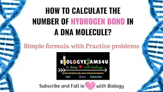 How to calculate the number of Hydrogen bonds in a DNA using a simple formula?