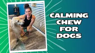 Yuma's Hemp Calming Chews for Dogs
