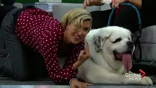 Carolyn and Mochi
