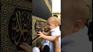 I am so excited to see you, Ya Mohammad!! Ya Mohammad!! #love #shortsfeed #shorts