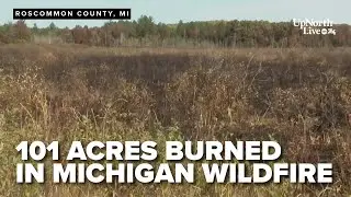 Wildfire near Houghton Lake nearly contained after burning 101 acres