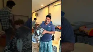 Sunday profit 💰| WhatsApp only 8667297247 #shorts #loft #vlog #trending #food #pets #kumbakonam