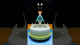 Most satisfying slow motion video | #shorts #satisfying