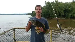 York Haven, Pennsylvania...(CatWalk)