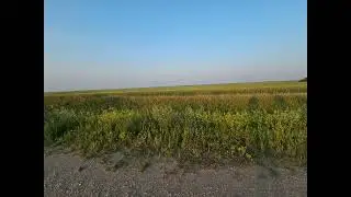 #saskatchewan #flowers #horizon #home #travel #adventure #views #nature #clearsky #bluesky #longlake