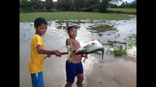 Primitive Spear Fishing- How To Make A Bamboo Spear ( 100%Work)- Catch n Cook