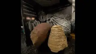 Konvolut von Cephalopoden aus der Eifel ...besonders: Gomphoceras mit Wohnkammer