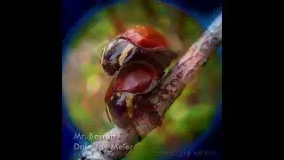 People - Music by Dale Jay Meier