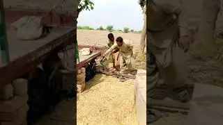 challenge for all farming TikTok 🔥##fypシ##foryou##foryoupage##amazing##funny##farming