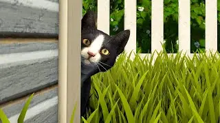 Copycat - Trailer de Lan&ccedil;amento | PS5 & Xbox Series
