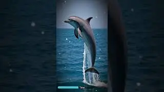 **
