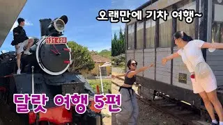달랏 여행 5편 (무성, 진솔, 승이)